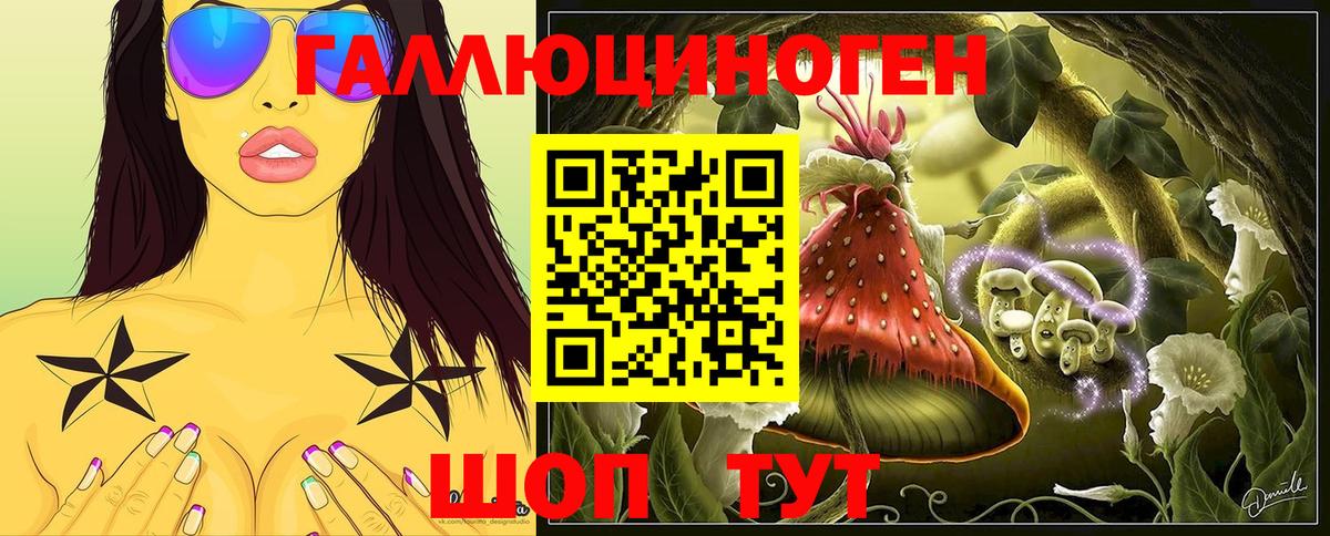 Кировск  Галлюциногенные грибы прущие грибы  Псилоцибиновые грибы мухоморы  Вход с VPN 